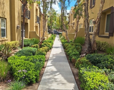 28410 Socorro - Photo Thumbnail 2
