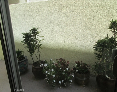 2345 Montrose Avenue - Photo Thumbnail 32