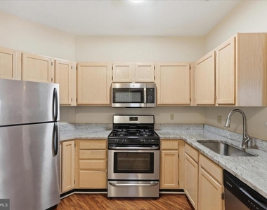 14322 Climbing Rose Way - Photo Thumbnail 6