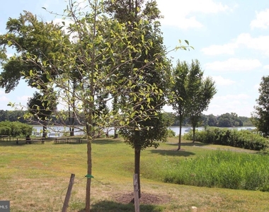 121 Hagen Drive - Photo Thumbnail 18