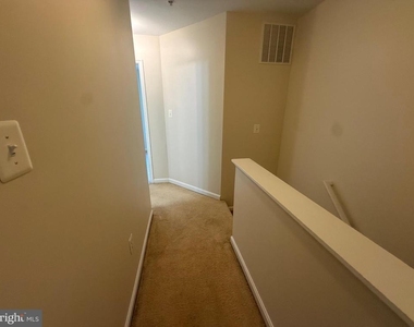 4805 Springmaid Lane - Photo Thumbnail 19