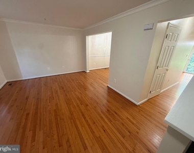 4805 Springmaid Lane - Photo Thumbnail 11