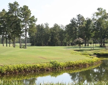 338 Mistletoe Ridge Court - Photo Thumbnail 16