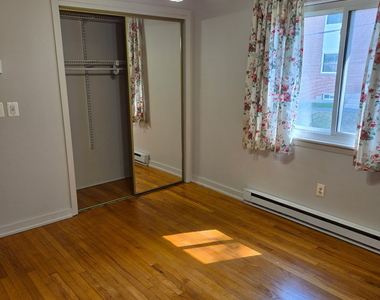 8d Queen Street - Photo Thumbnail 5