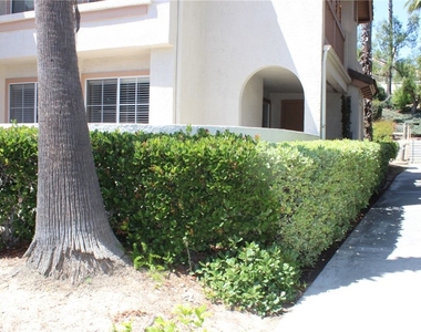 24341 Conejo - Photo Thumbnail 1