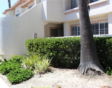 24341 Conejo - Photo Thumbnail 2