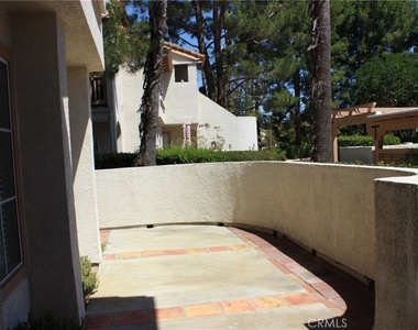 24341 Conejo - Photo Thumbnail 3