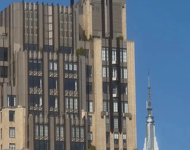 234 West 14th Street  - Photo Thumbnail 4