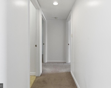830 Locust Street - Photo Thumbnail 11