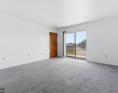 820 Locust Street - Photo Thumbnail 4