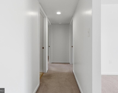 820 Locust Street - Photo Thumbnail 9