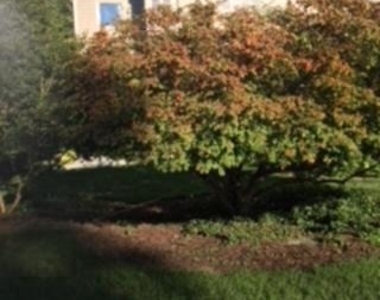 1307 Lark Lane - Photo Thumbnail 20
