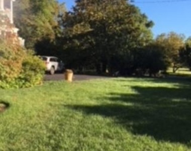 1307 Lark Lane - Photo Thumbnail 6
