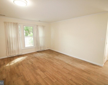 11325 Halethorpe Terrace - Photo Thumbnail 2