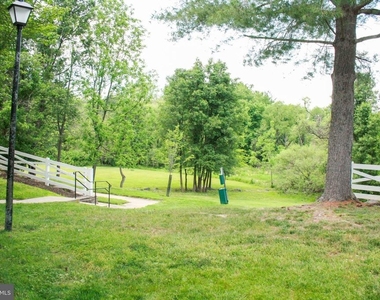 11325 Halethorpe Terrace - Photo Thumbnail 25