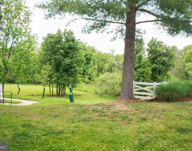 11325 Halethorpe Terrace - Photo Thumbnail 24