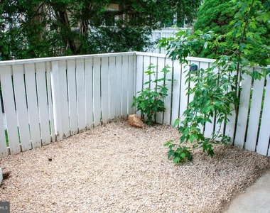 11325 Halethorpe Terrace - Photo Thumbnail 22