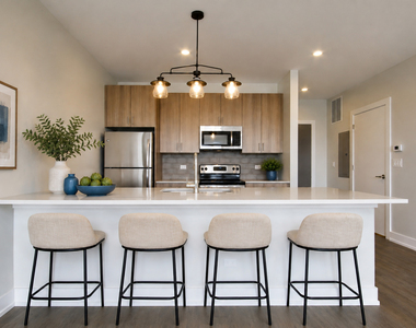 2111 S Halsted Street - Photo Thumbnail 1