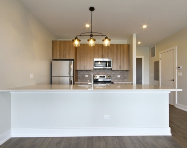 2111 S Halsted Street - Photo Thumbnail 4