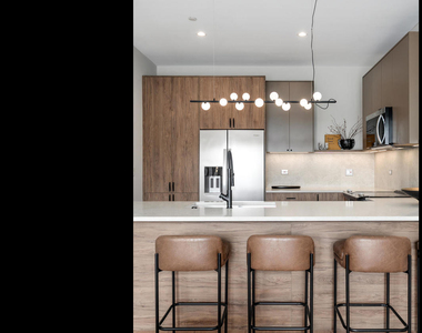 1235 N Ashland Avenue - Photo Thumbnail 13
