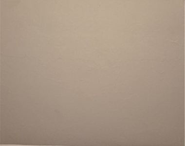 315 Cleveland Avenue - Photo Thumbnail 10