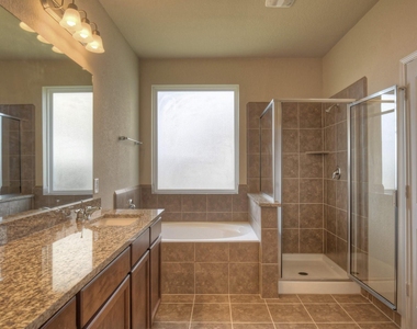 21231 Flowering Dogwood Circle - Photo Thumbnail 18