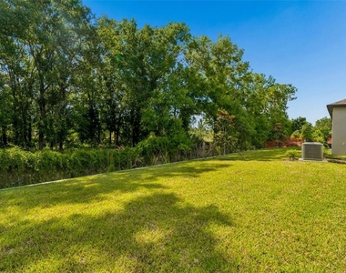 18542 Serene Lake Loop - Photo Thumbnail 53