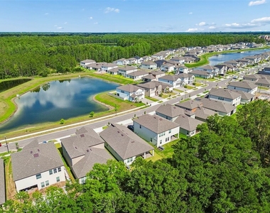 18542 Serene Lake Loop - Photo Thumbnail 73