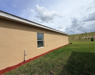 3917 Passion Vine Dr - Photo Thumbnail 31