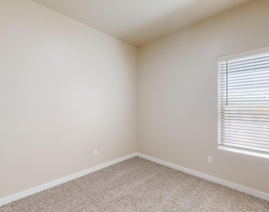 11118 Blue Eyed Grass Street - Photo Thumbnail 29