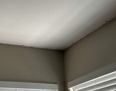 9901 Trailwood Drive - Photo Thumbnail 63