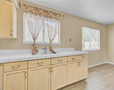 4814 Spring Falls Way - Photo Thumbnail 19