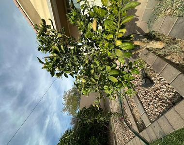 6830 N 14th Street - Photo Thumbnail 22