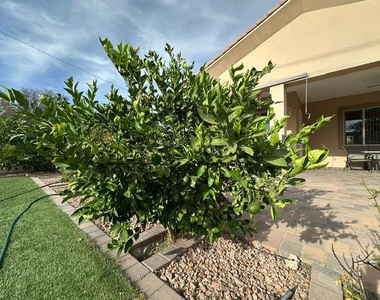 6830 N 14th Street - Photo Thumbnail 23