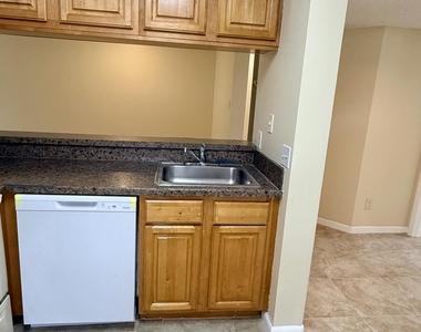 1142 Coral Club Drive - Photo Thumbnail 3