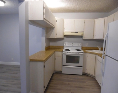 502 Shady Pine Way - Photo Thumbnail 8