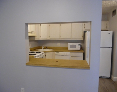 502 Shady Pine Way - Photo Thumbnail 9