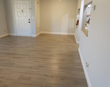 502 Shady Pine Way - Photo Thumbnail 4