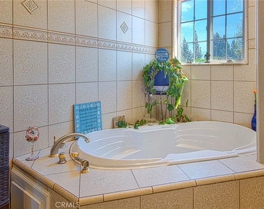 14802 Leibacher - Photo Thumbnail 13