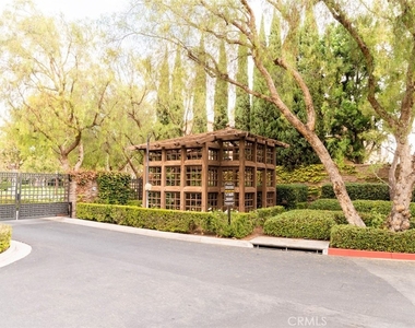 41 Bamboo - Photo Thumbnail 32