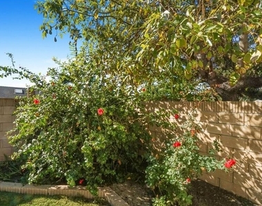24121 El Tiradore Circle - Photo Thumbnail 10