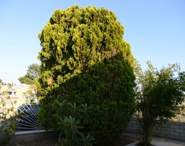 7913 Vanscoy Avenue - Photo Thumbnail 1