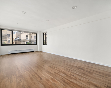 420 E 64th Street - Photo Thumbnail 2