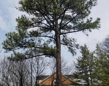 1619 Seneca Avenue - Photo Thumbnail 18