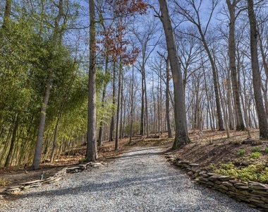 11450 Game Preserve Road - Photo Thumbnail 43