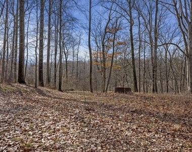 11450 Game Preserve Road - Photo Thumbnail 45