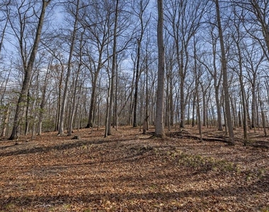 11450 Game Preserve Road - Photo Thumbnail 46