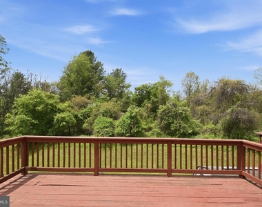 15622 Cliff Swallow Way - Photo Thumbnail 1