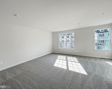 338 Paca Gardens Ln - Photo Thumbnail 8