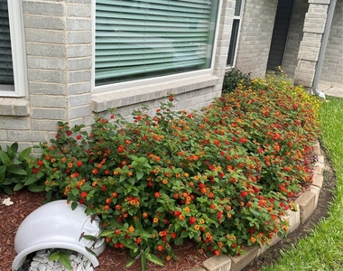 2023 Havenhouse Drive - Photo Thumbnail 10